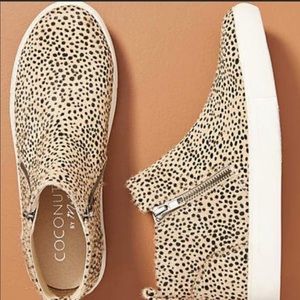 NWOT COCONUTS by MATISSE